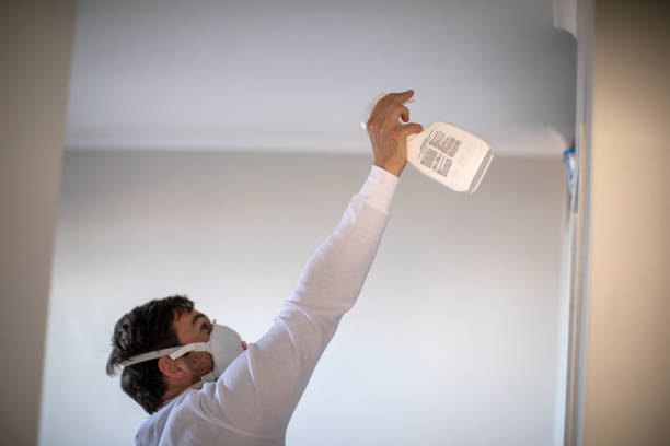 Best Preventive Mold Services in Montecito, CA