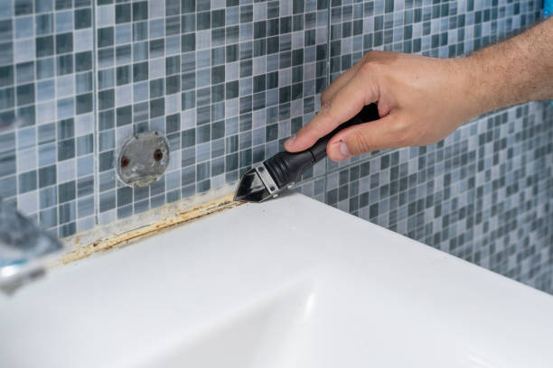 Best Black Mold Remediation in Montecito, CA